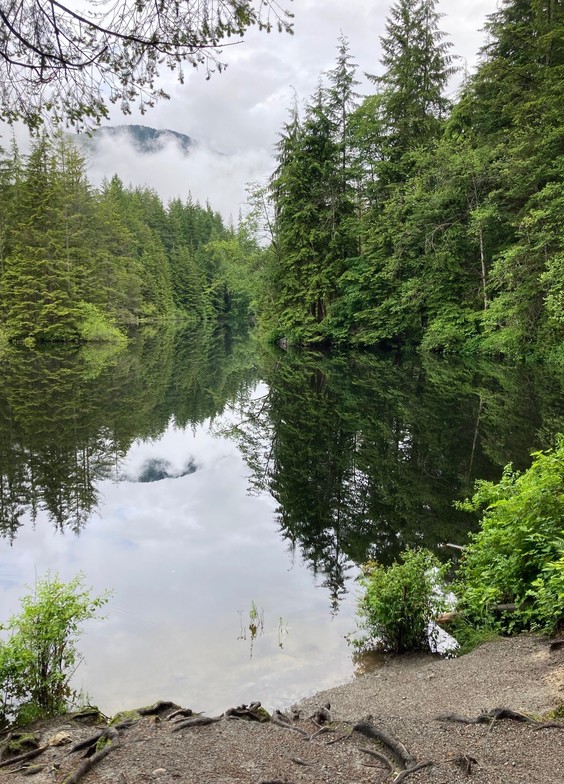 Varley Trail with Rice Lake Loop Update St. Catherine's Church